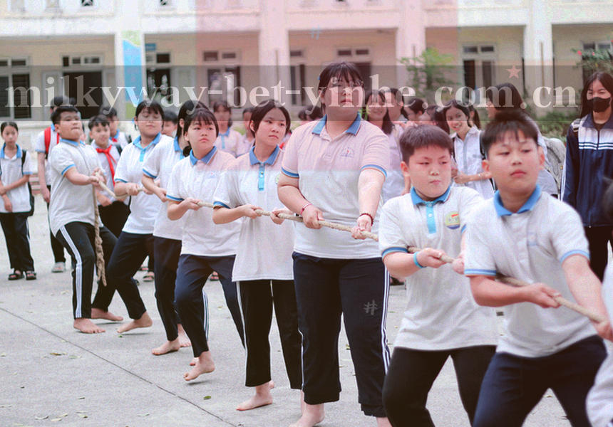 银河娱乐入口中文版记录明细面板的抽象视觉示意